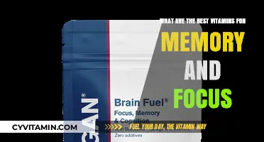 Boost Your Brain: Top Vitamins for Memory and Focus