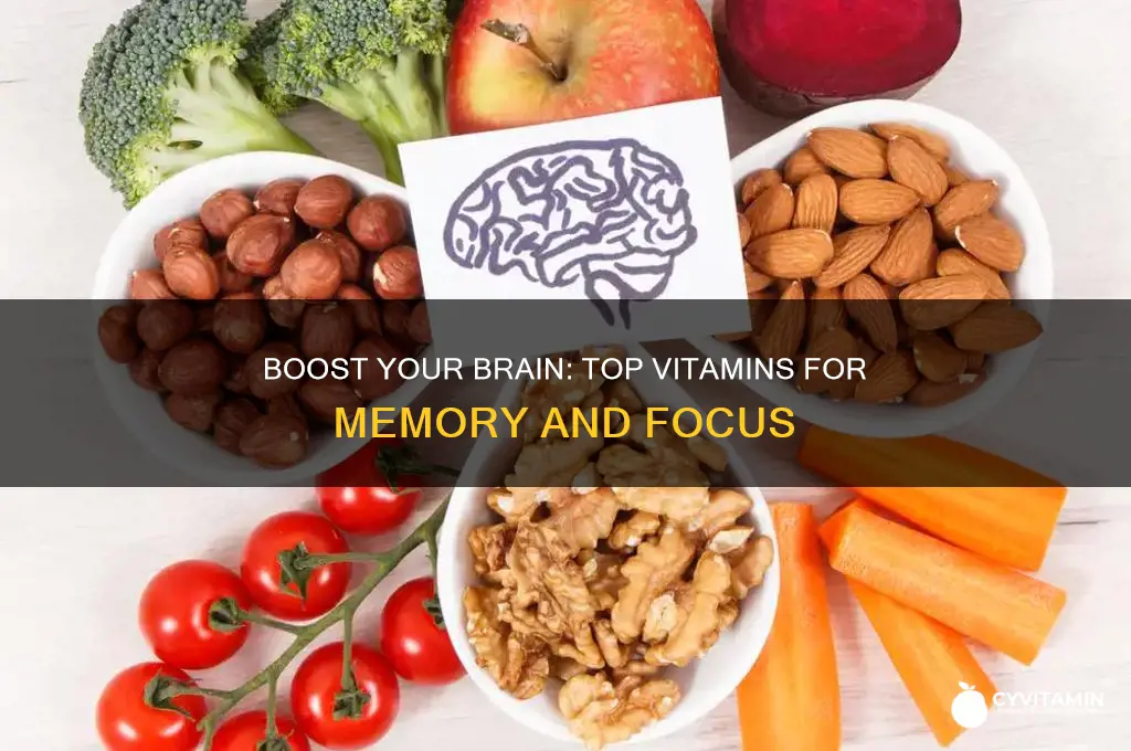 what are the best vitamins for memory and focus