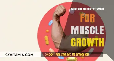 Top Vitamins to Boost Muscle Growth and Recovery Effectively