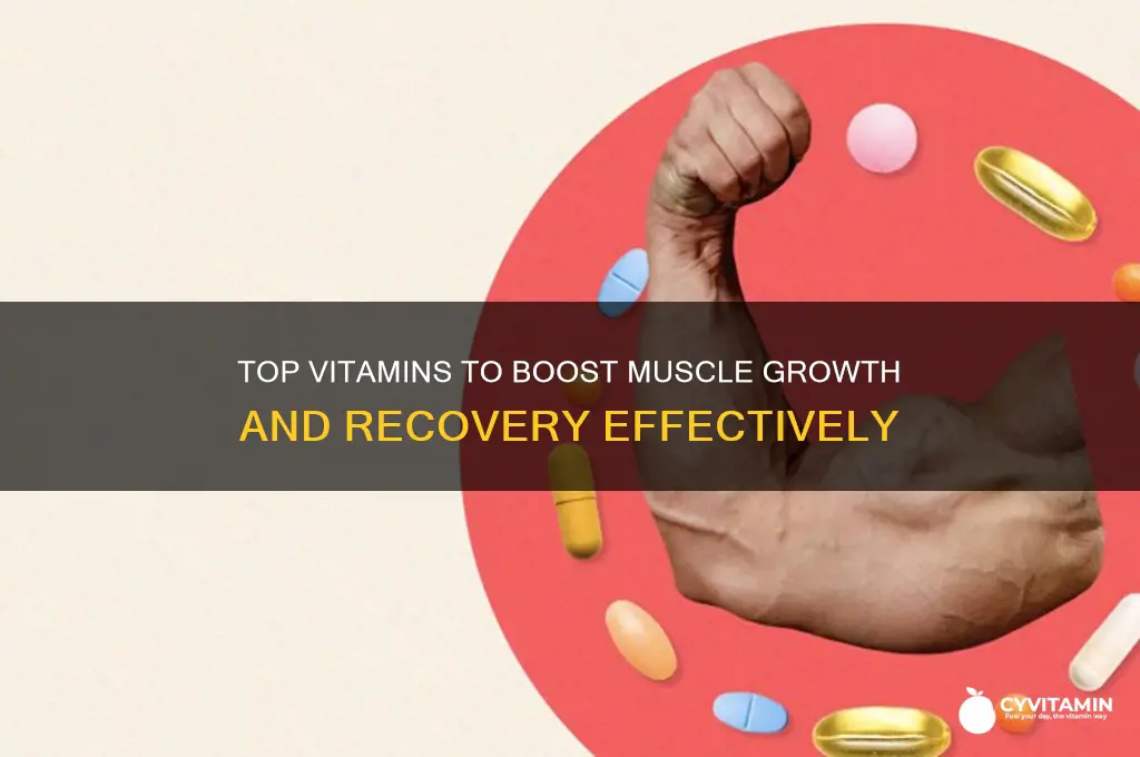 what are the best vitamins for muscle growth