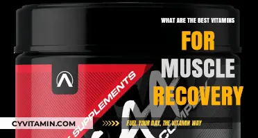 Top Vitamins to Speed Up Muscle Recovery After Intense Workouts