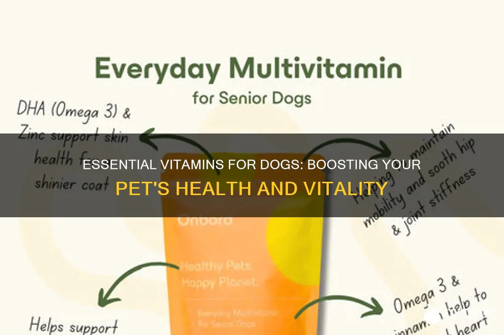 what are the best vitamins for my dog