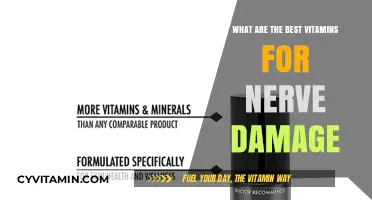 Essential Vitamins to Support Nerve Repair and Regeneration