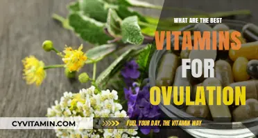 Boosting Ovulation Naturally: Top Vitamins for Fertility and Hormonal Balance