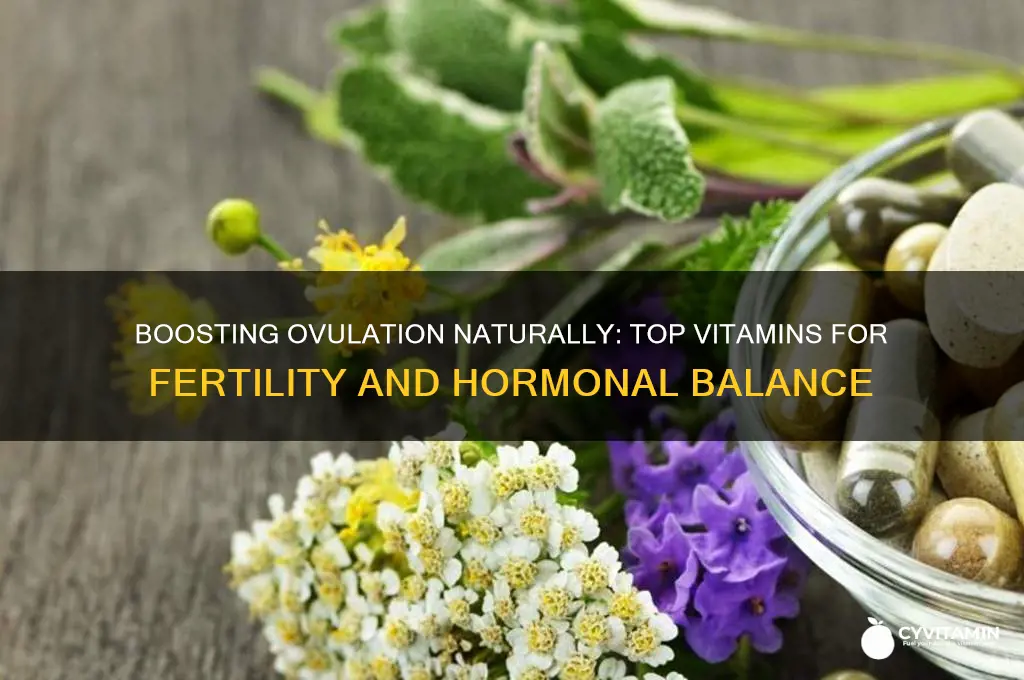 what are the best vitamins for ovulation
