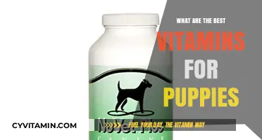 Essential Puppy Vitamins: Boosting Your Furry Friend's Health and Growth