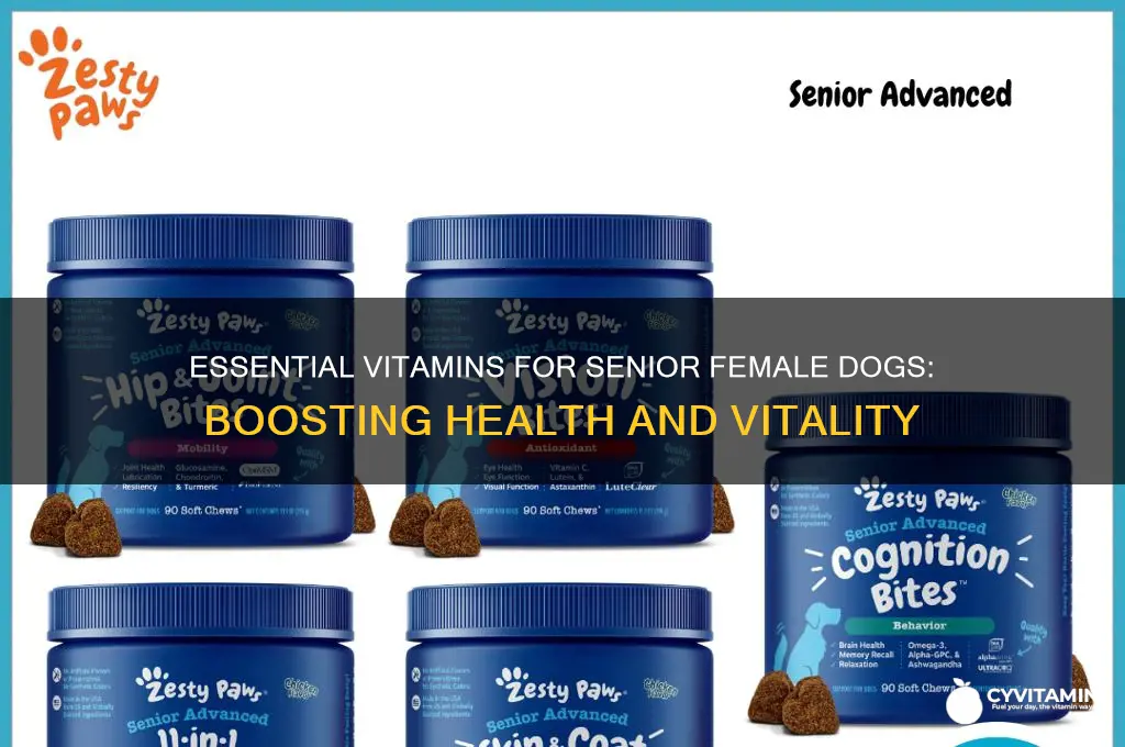 what are the best vitamins for senior female dogs