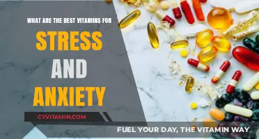 Top Vitamins to Naturally Ease Stress and Anxiety Symptoms