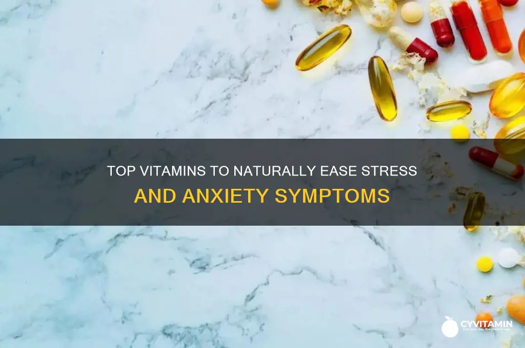 what are the best vitamins for stress and anxiety