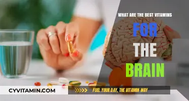 Boost Your Brain Health: Top Vitamins for Cognitive Function