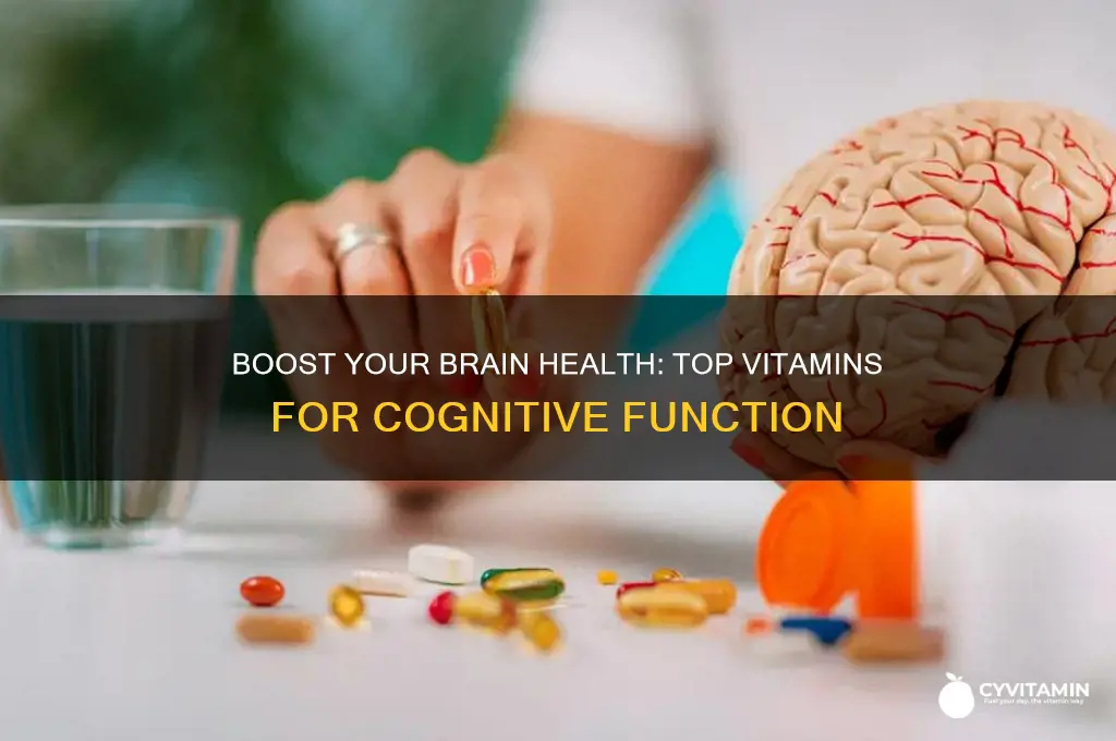 what are the best vitamins for the brain