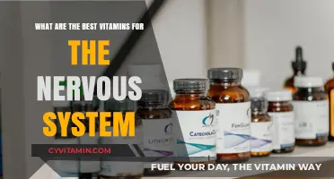 Boost Your Nervous System Health: Top Vitamins for Optimal Function
