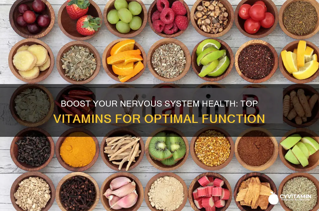what are the best vitamins for the nervous system