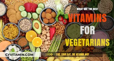 Essential Vegetarian Vitamins: Top Nutrients for Plant-Based Diets