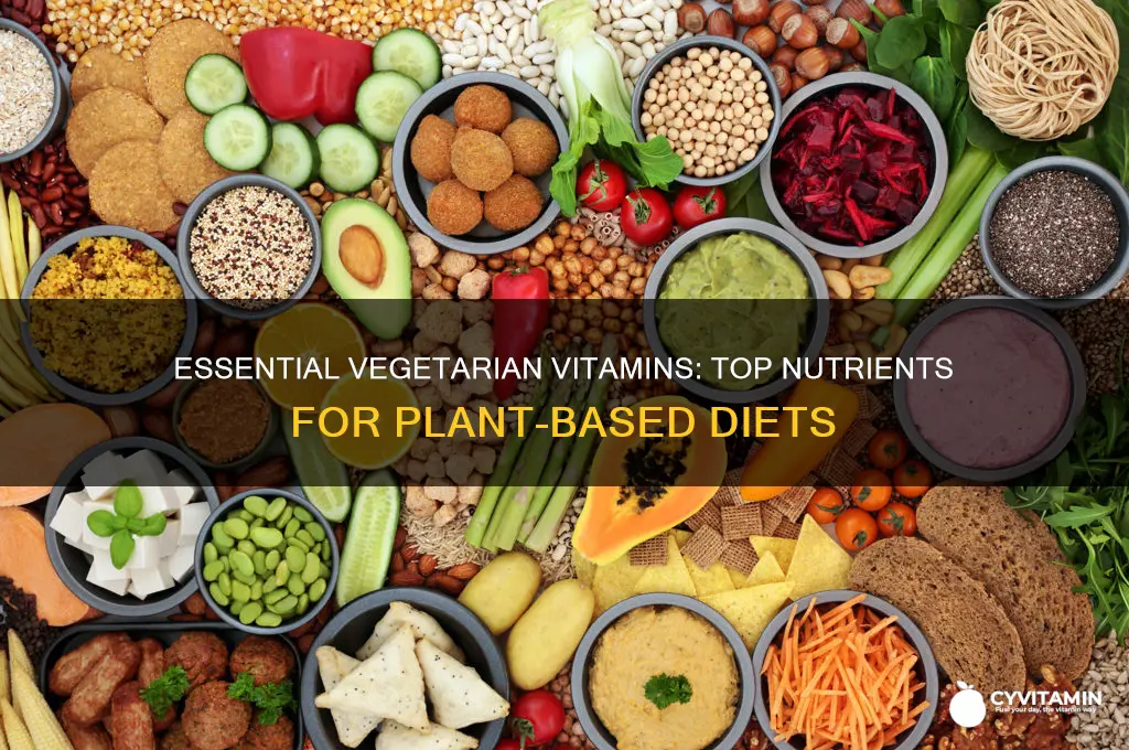 what are the best vitamins for vegetarians