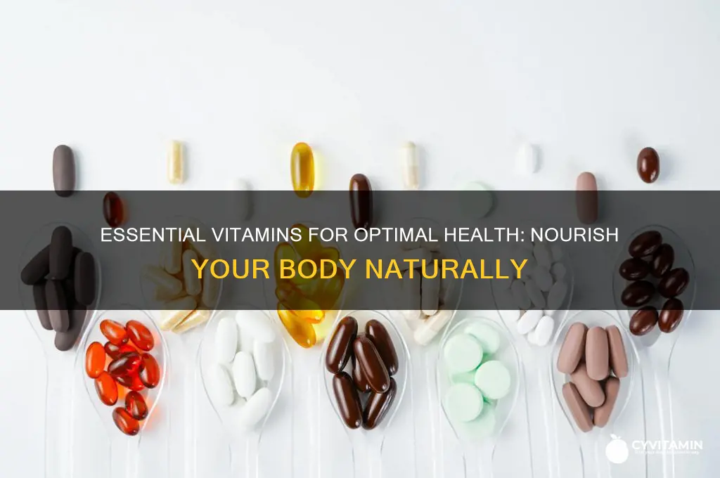 what are the best vitamins for your body