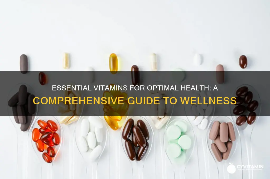 what are the best vitamins for