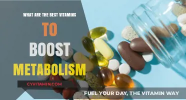 Top Vitamins to Naturally Boost Your Metabolism and Energy Levels