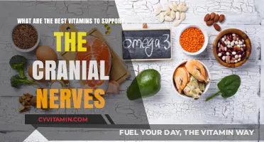 Essential Vitamins for Optimal Cranial Nerve Health and Function