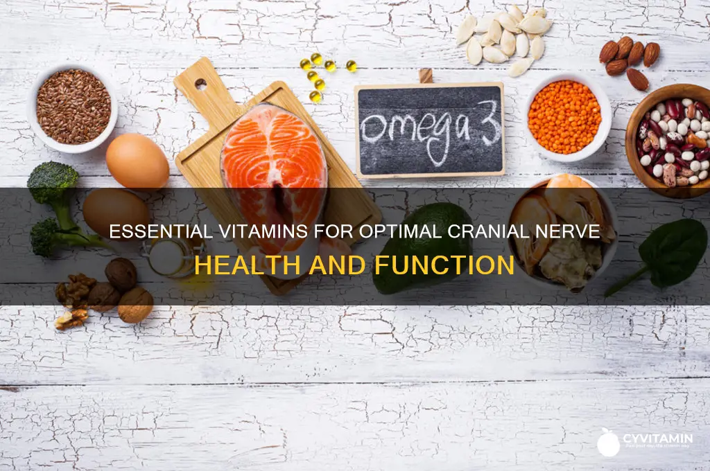 what are the best vitamins to support the cranial nerves