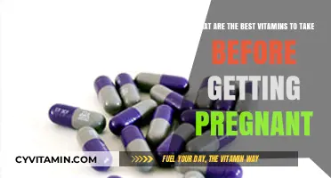 Essential Prenatal Vitamins for a Healthy Pregnancy Preparation Guide
