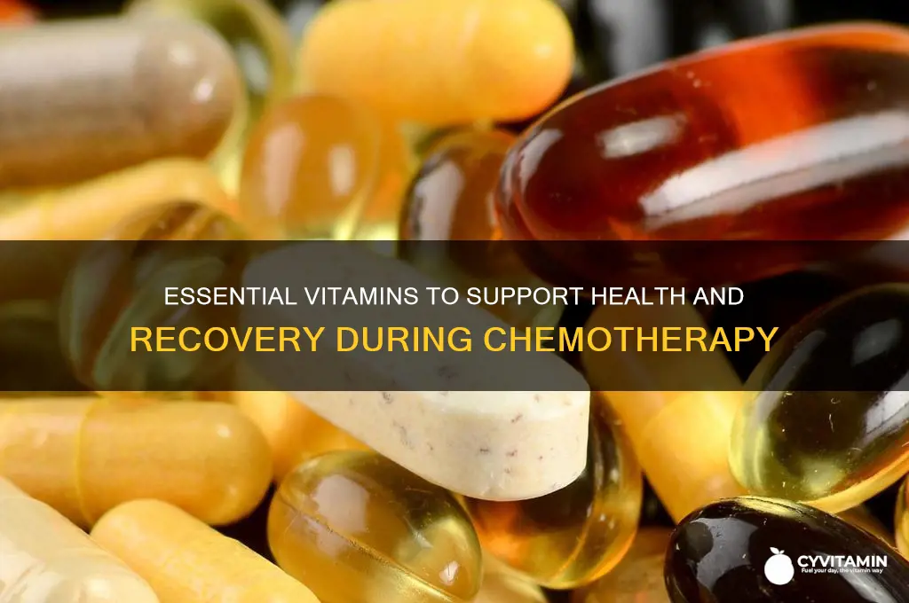 what are the best vitamins to take during chemotherapy
