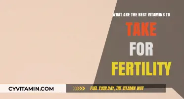 Boosting Fertility Naturally: Top Vitamins for Reproductive Health