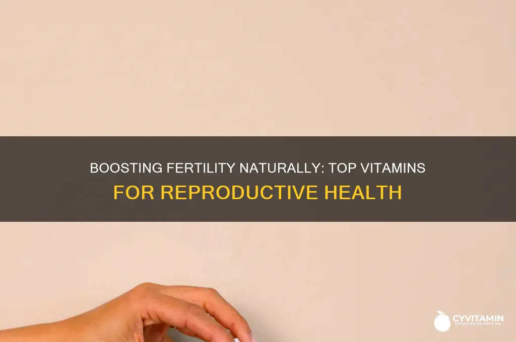what are the best vitamins to take for fertility