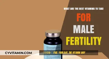 Boost Male Fertility: Top Vitamins for Reproductive Health