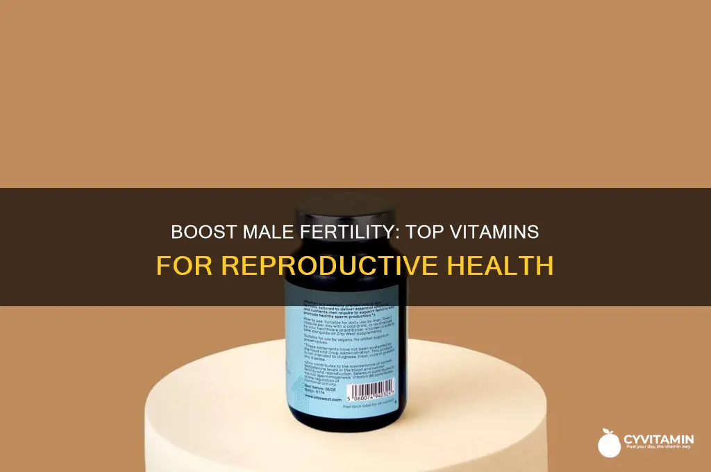 what are the best vitamins to take for male fertility