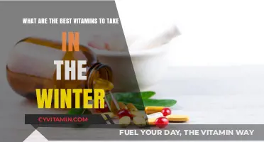Boost Winter Wellness: Top Vitamins for Cold-Weather Health