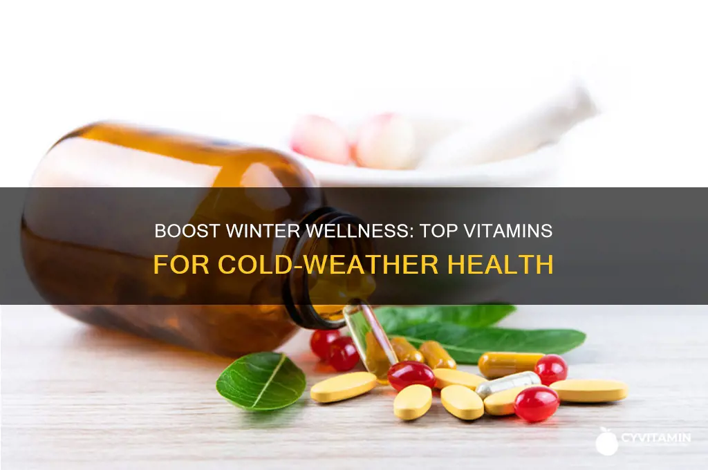 what are the best vitamins to take in the winter