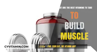 Top Muscle-Building Vitamins for Strength and Growth