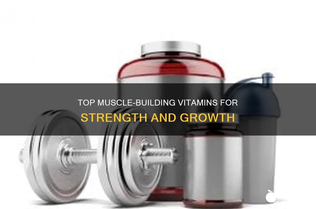 what are the best vitamins to take to build muscle