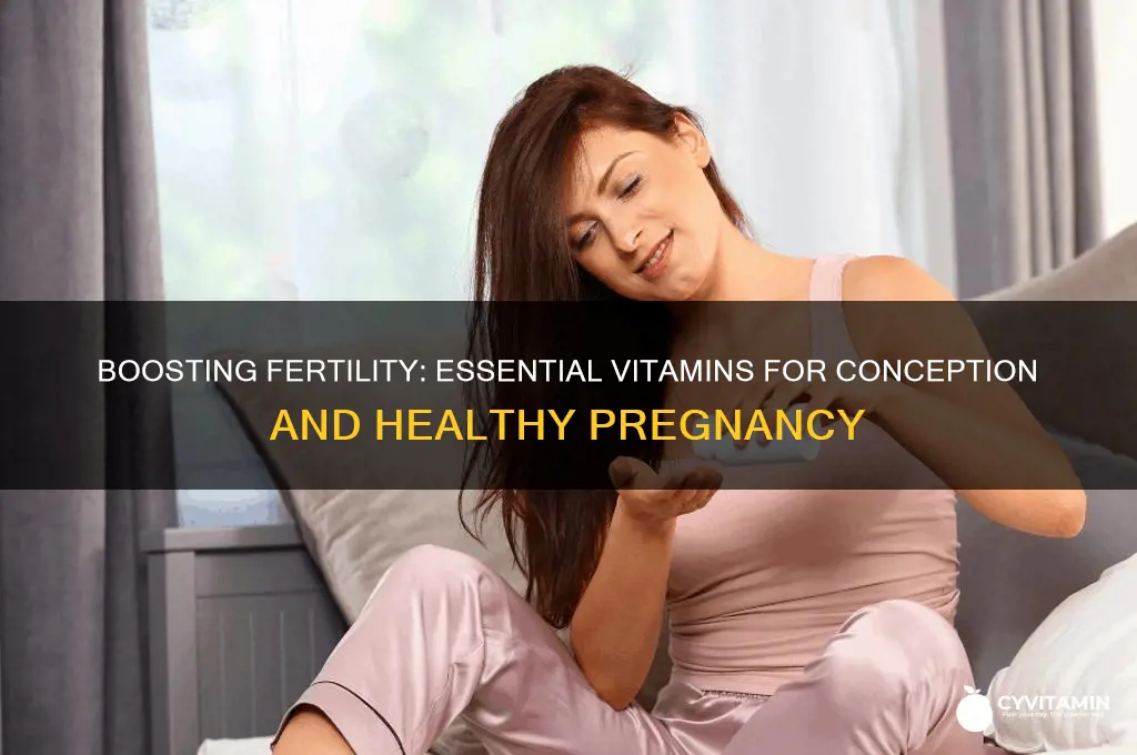 what are the best vitamins when trying to conceive