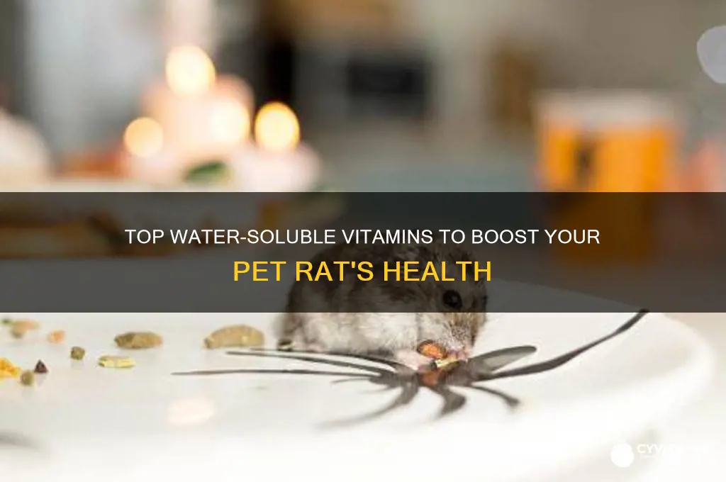 what are the best water vitamin for pet rat