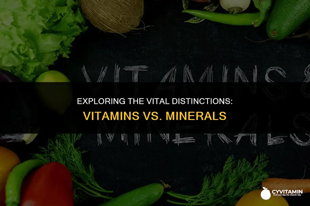 what are the differences between vitamins and minerals
