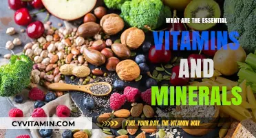 Unlocking Wellness: A Guide to Essential Vitamins and Minerals