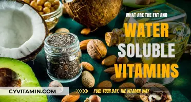 Exploring the Essential Fat and Water-Soluble Vitamins for Optimal Health