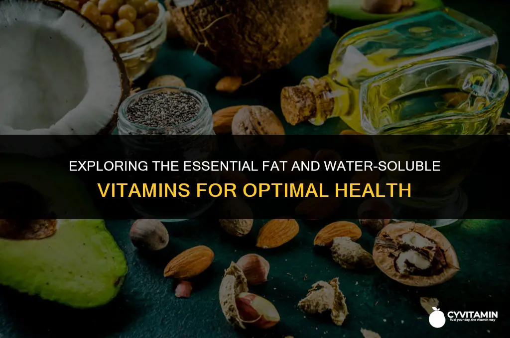 what are the fat and water soluble vitamins