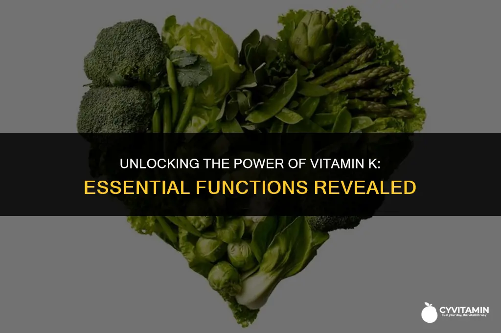 what are the functions of vitamin k
