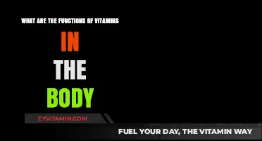 Unlocking Wellness: The Vital Functions of Vitamins in Your Body