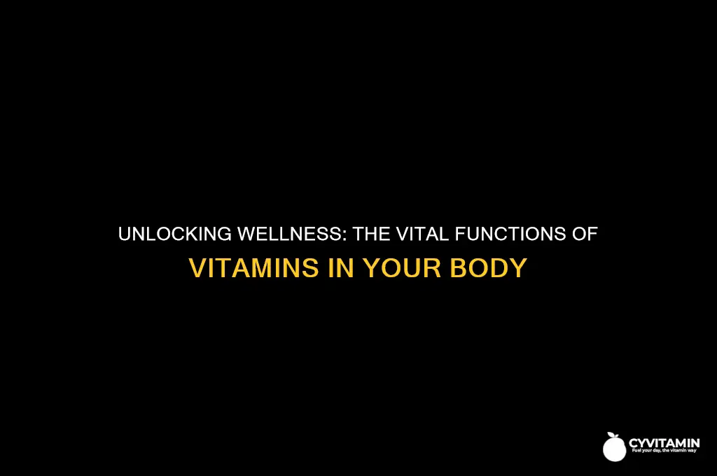 what are the functions of vitamins in the body