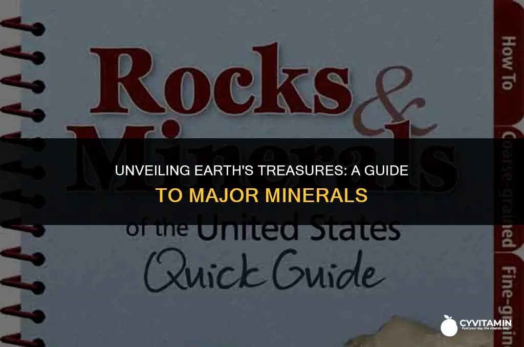 what are the major minerals