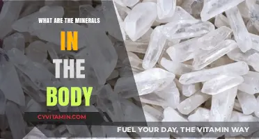 Essential Minerals in the Human Body: A Comprehensive Guide