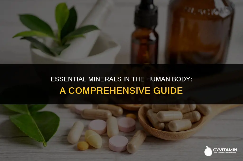 what are the minerals in the body