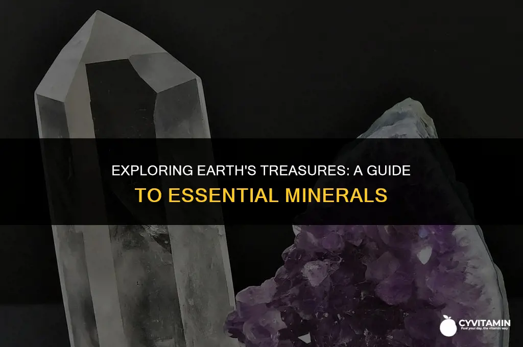 what are the minerals