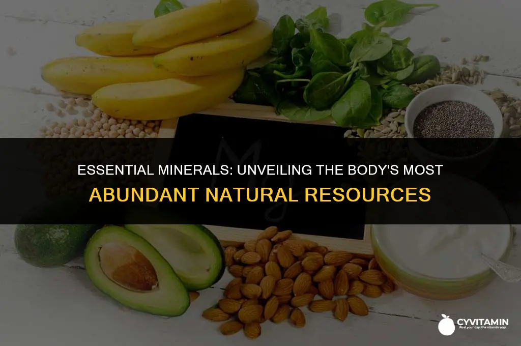 what are the most abundant minerals in the body