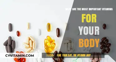 Essential Nutrients: Unlocking the Power of Vitamins for Optimal Health