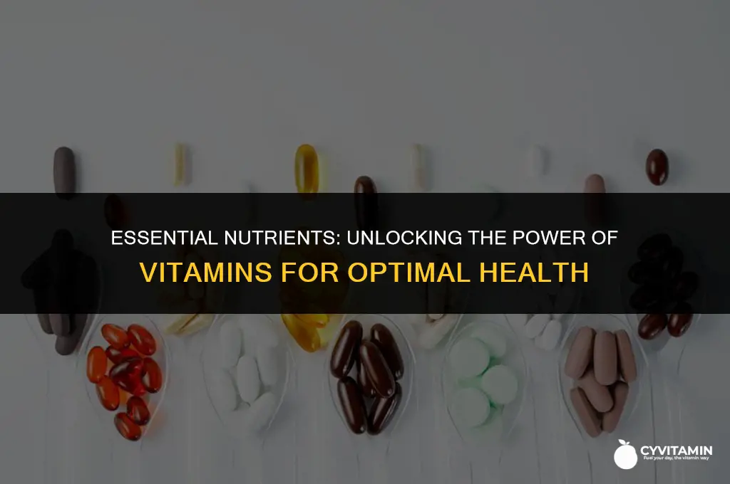 what are the most important vitamins for your body